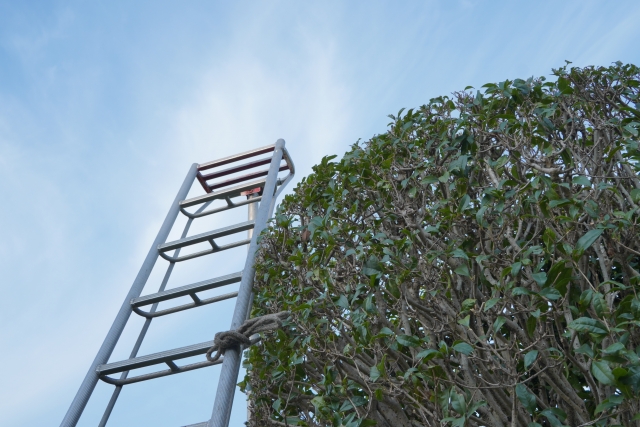 15分お手伝いサービス